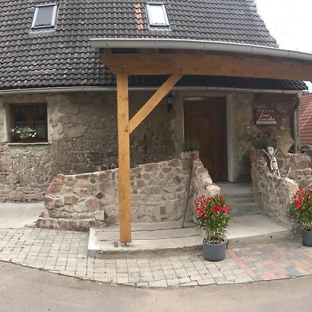 Pension Casa Luciko Brachwitz エクステリア 写真